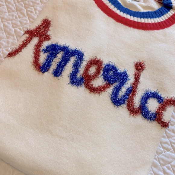 I Pledge Allegiance Sweater Crop Top, Chic Soul, 2XL - Picture 7 of 10